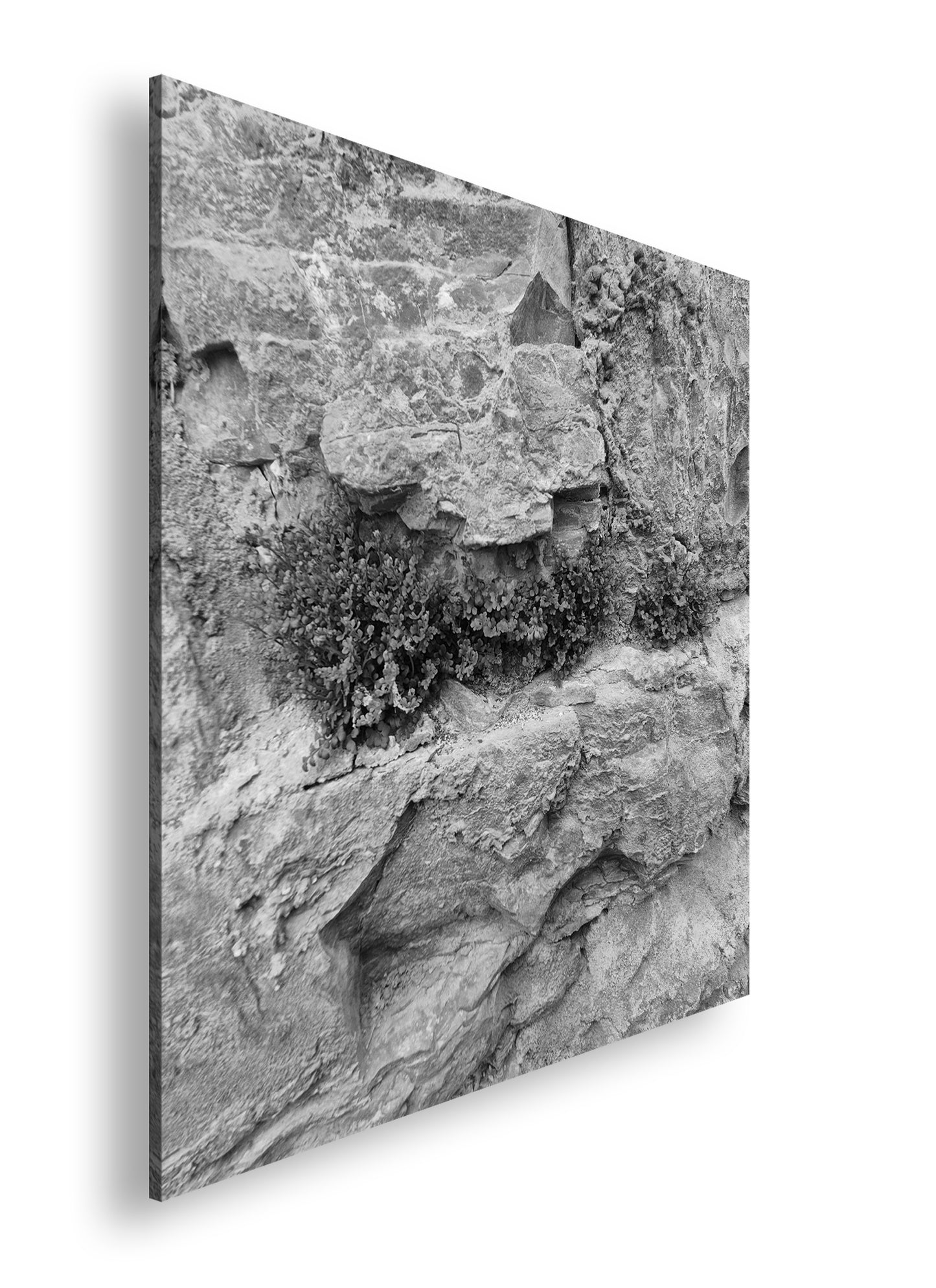 Hauptbild Schwarz & Weiß Quadratisch