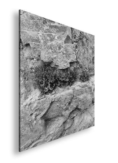 Hauptbild Schwarz & Weiß Quadratisch