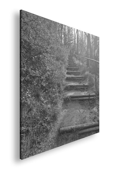 Hauptbild Schwarz & Weiß Quadratisch