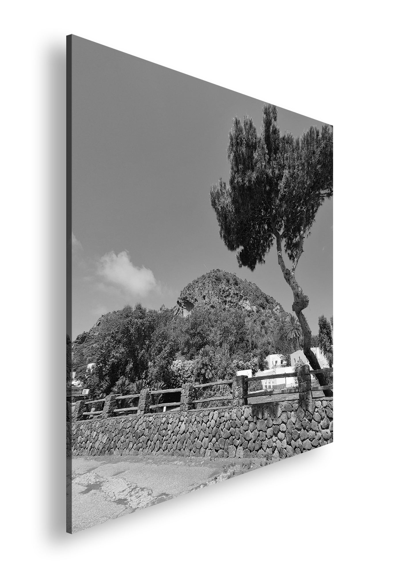 Hauptbild Schwarz & Weiß Quadratisch