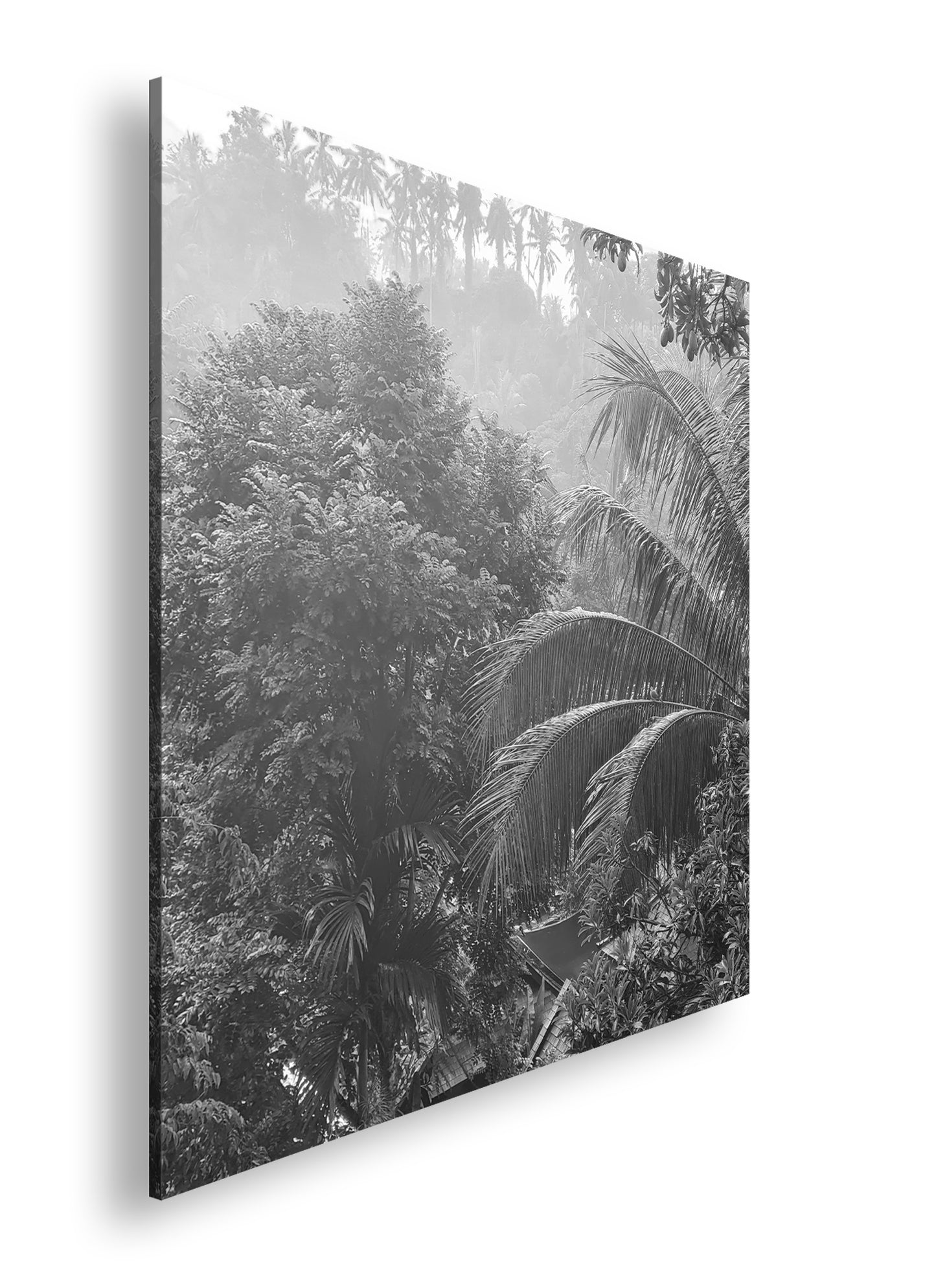 Hauptbild Schwarz & Weiß Quadratisch