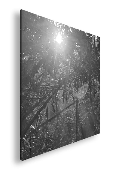 Hauptbild Schwarz & Weiß Quadratisch