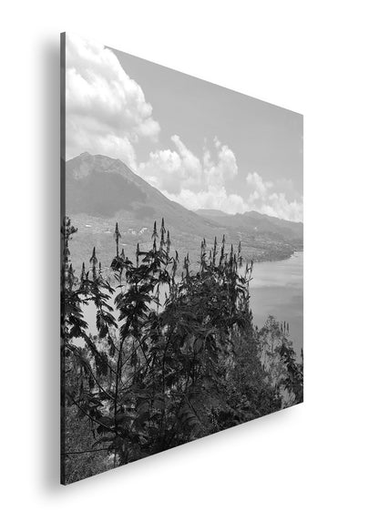 Hauptbild Schwarz & Weiß Quadratisch