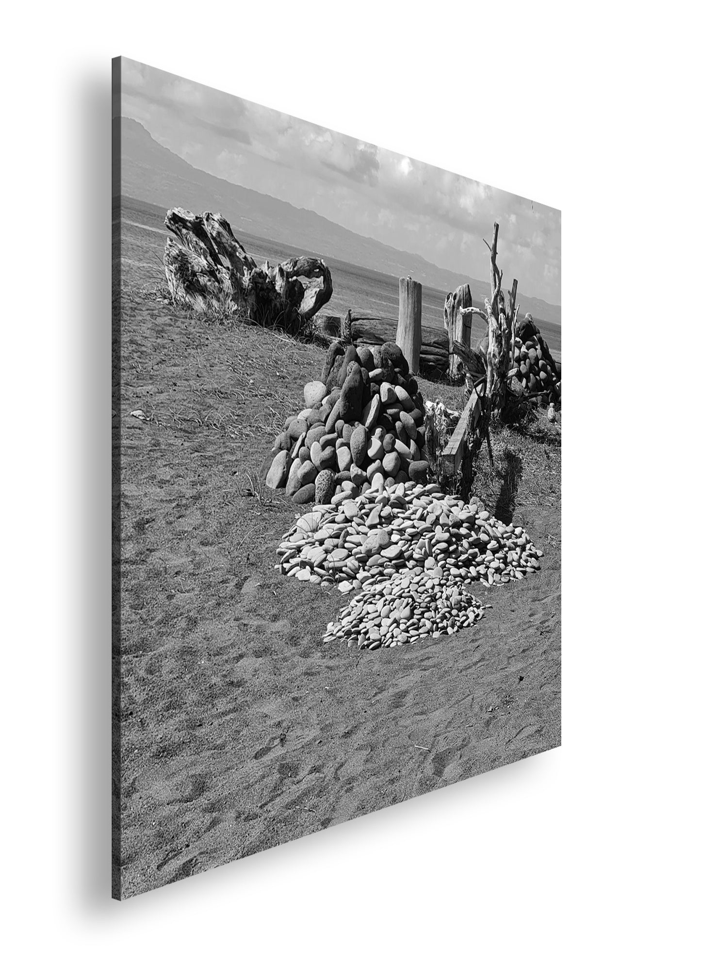 Hauptbild Schwarz & Weiß Quadratisch