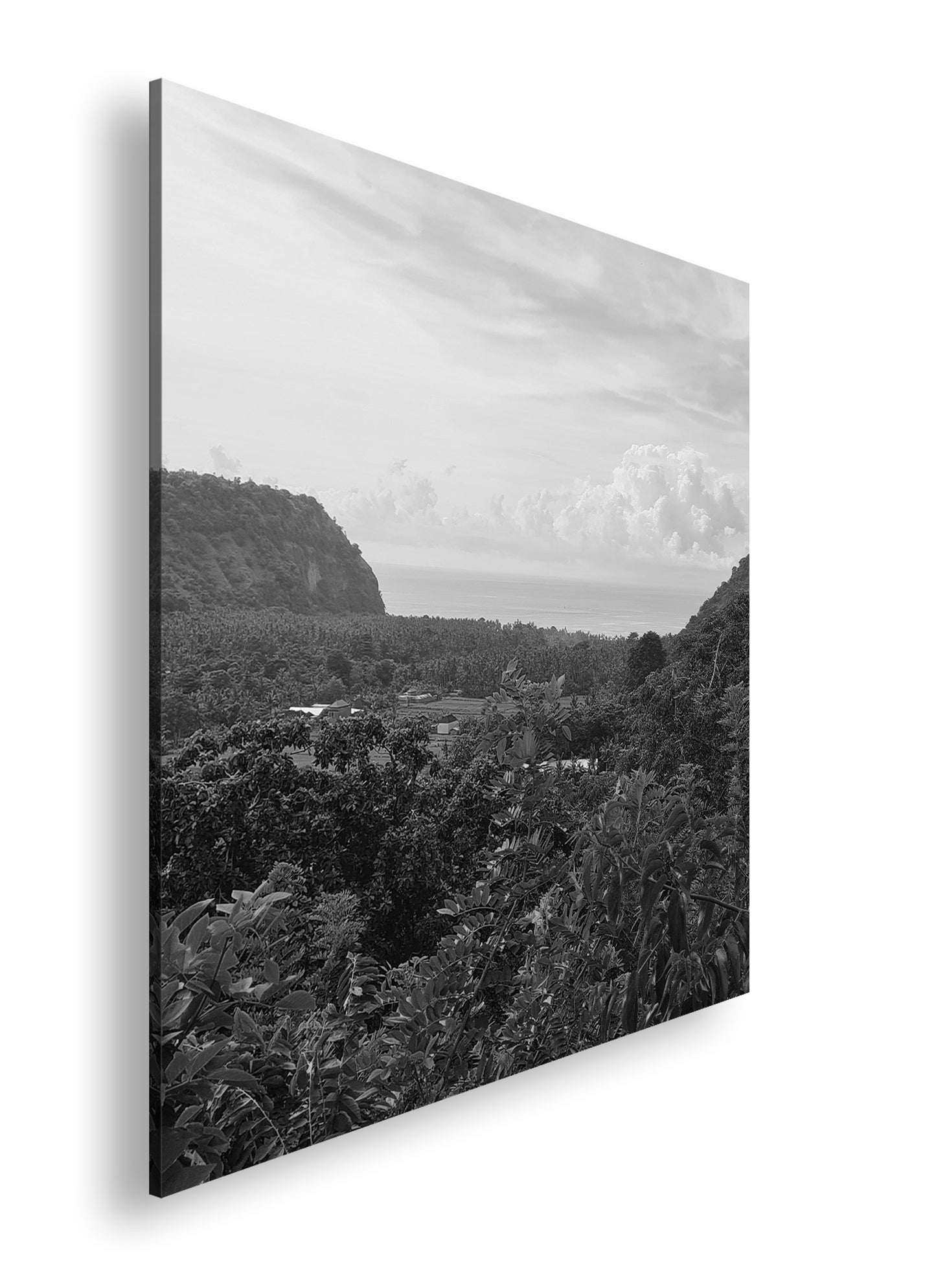 Hauptbild Schwarz & Weiß Quadratisch