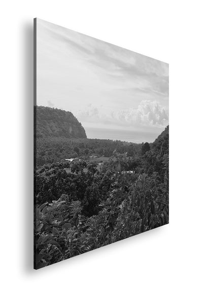 Hauptbild Schwarz & Weiß Quadratisch