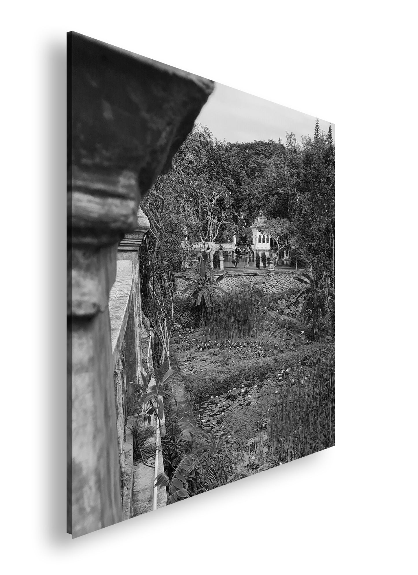 Hauptbild Schwarz & Weiß Quadratisch