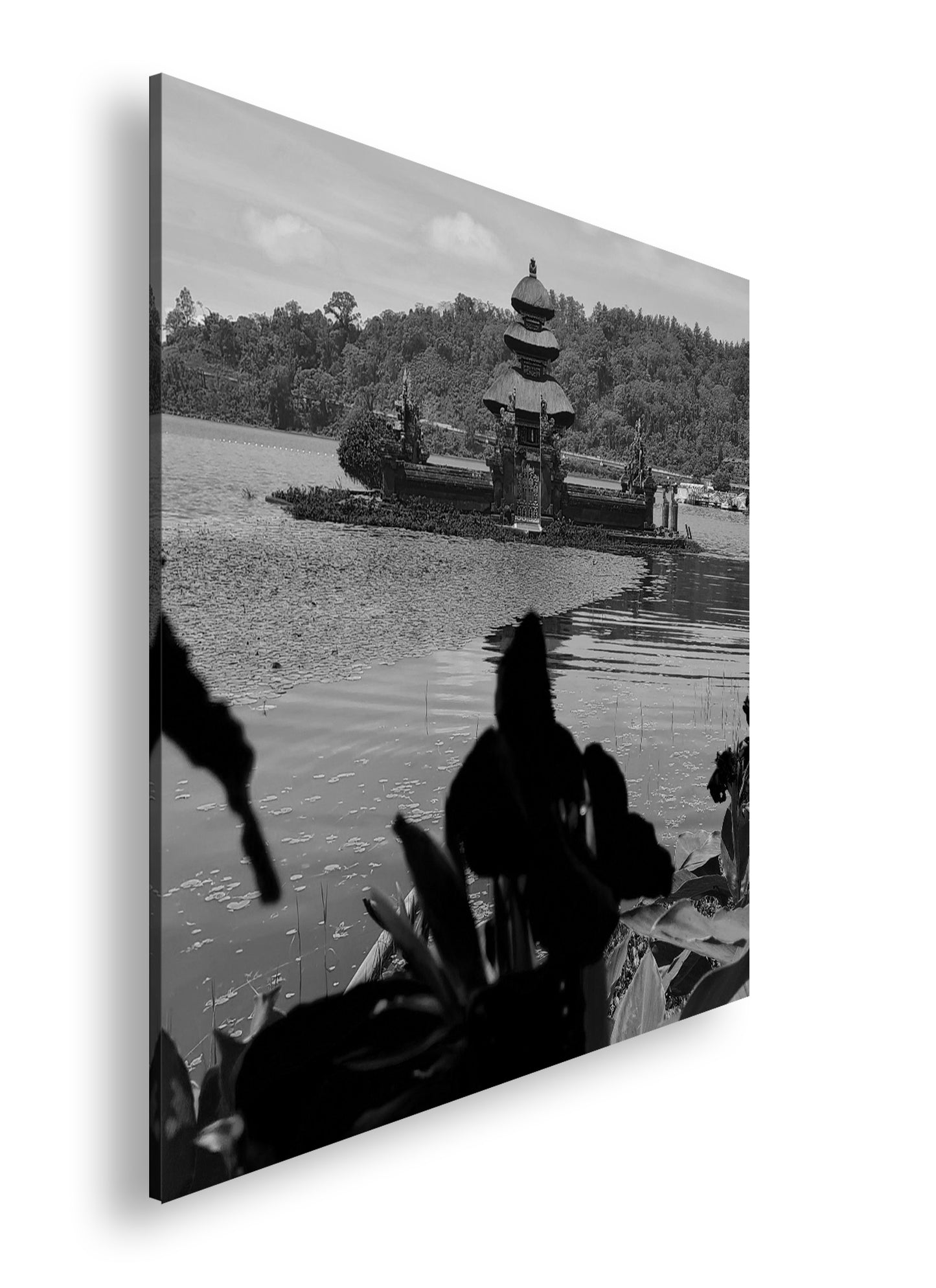 Hauptbild Schwarz & Weiß Quadratisch