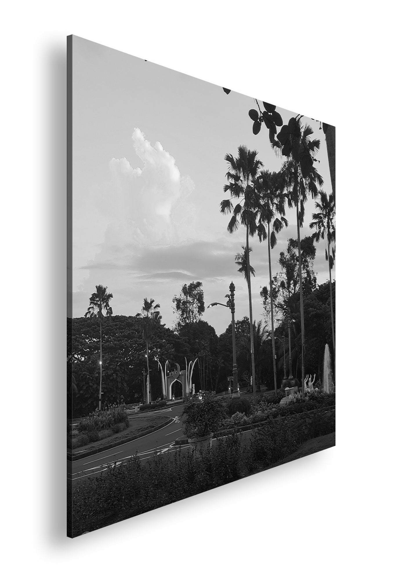 Hauptbild Schwarz & Weiß Quadratisch