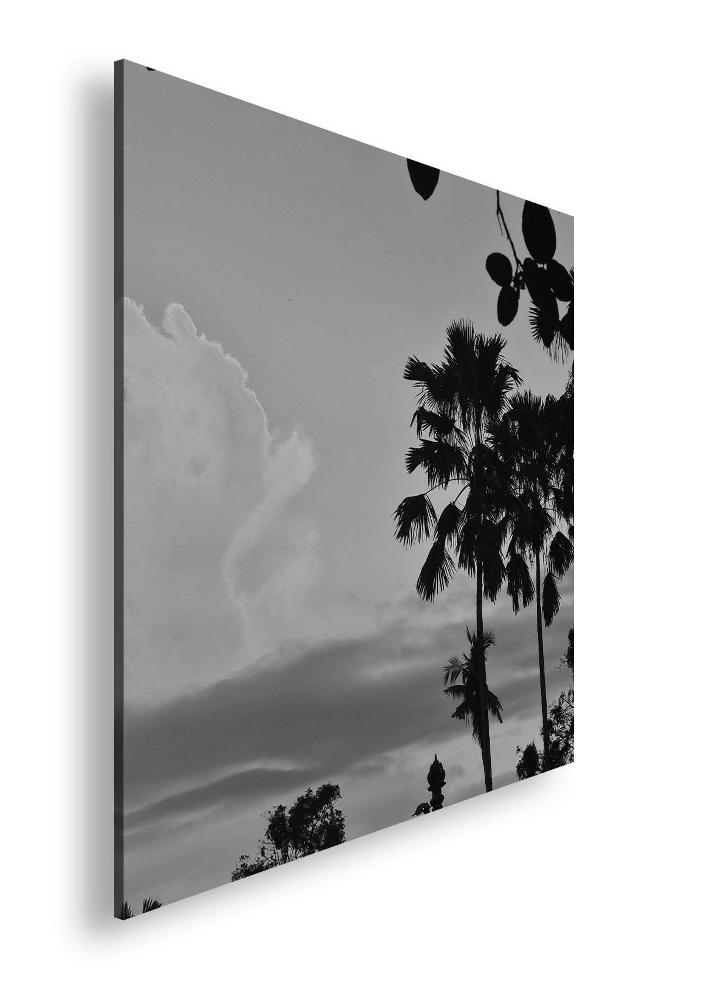 Hauptbild Schwarz & Weiß Quadratisch