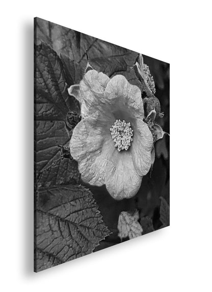 Hauptbild Schwarz & Weiß Quadratisch