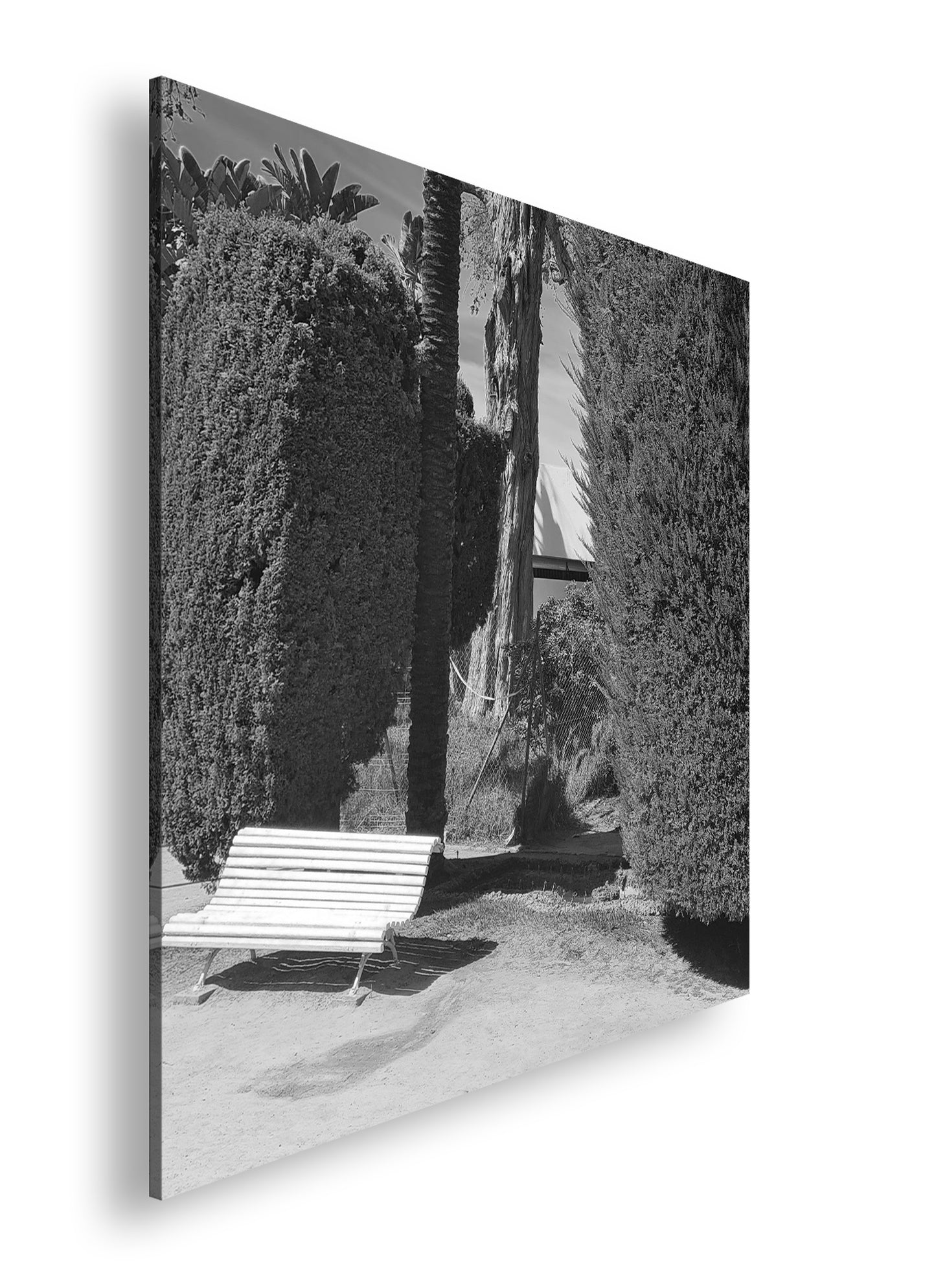 Hauptbild Schwarz & Weiß Quadratisch