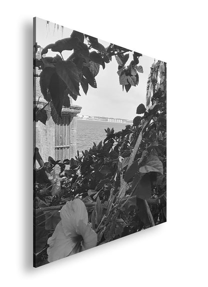 Hauptbild Schwarz & Weiß Quadratisch