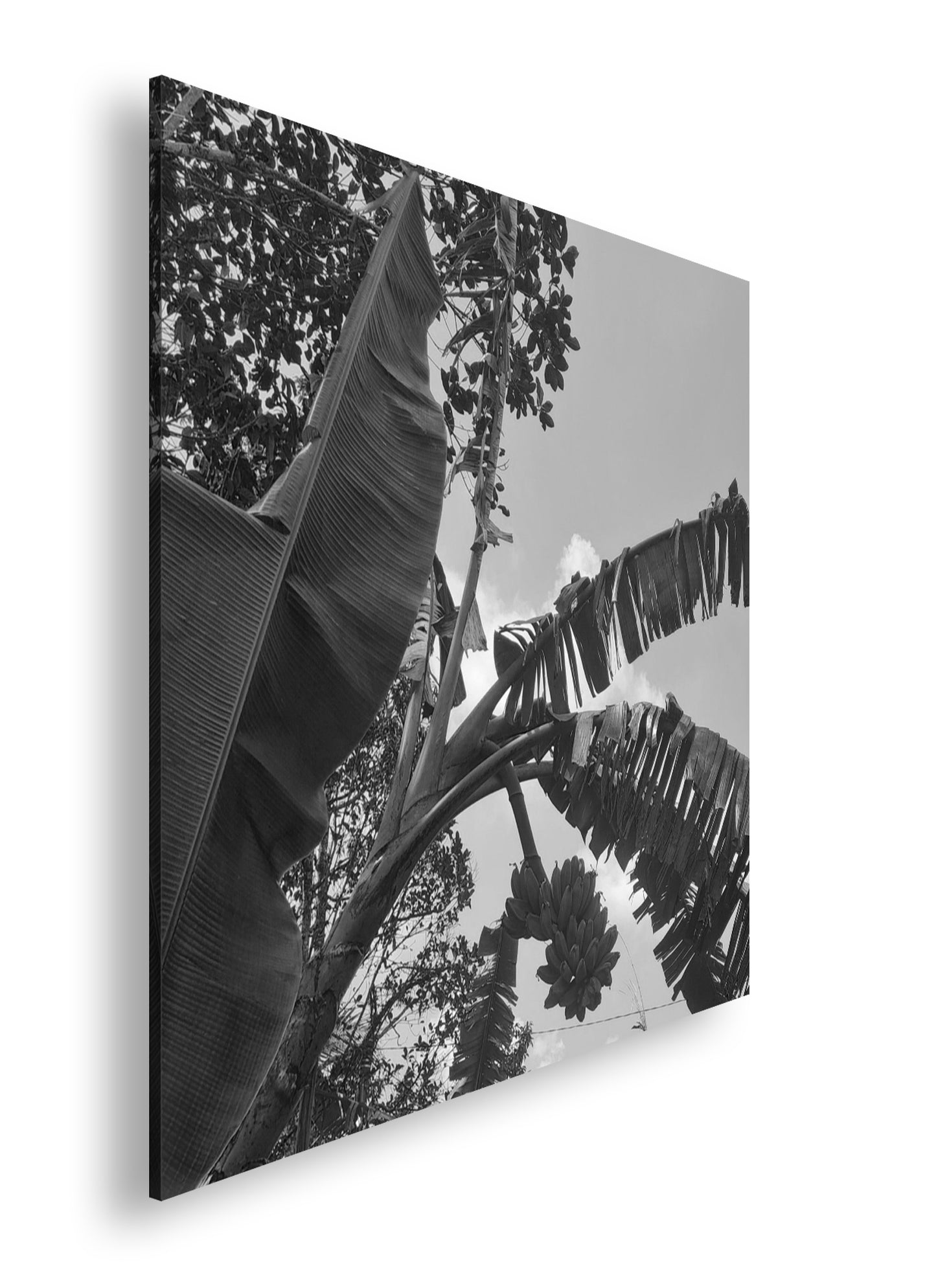 Hauptbild Schwarz & Weiß Quadratisch