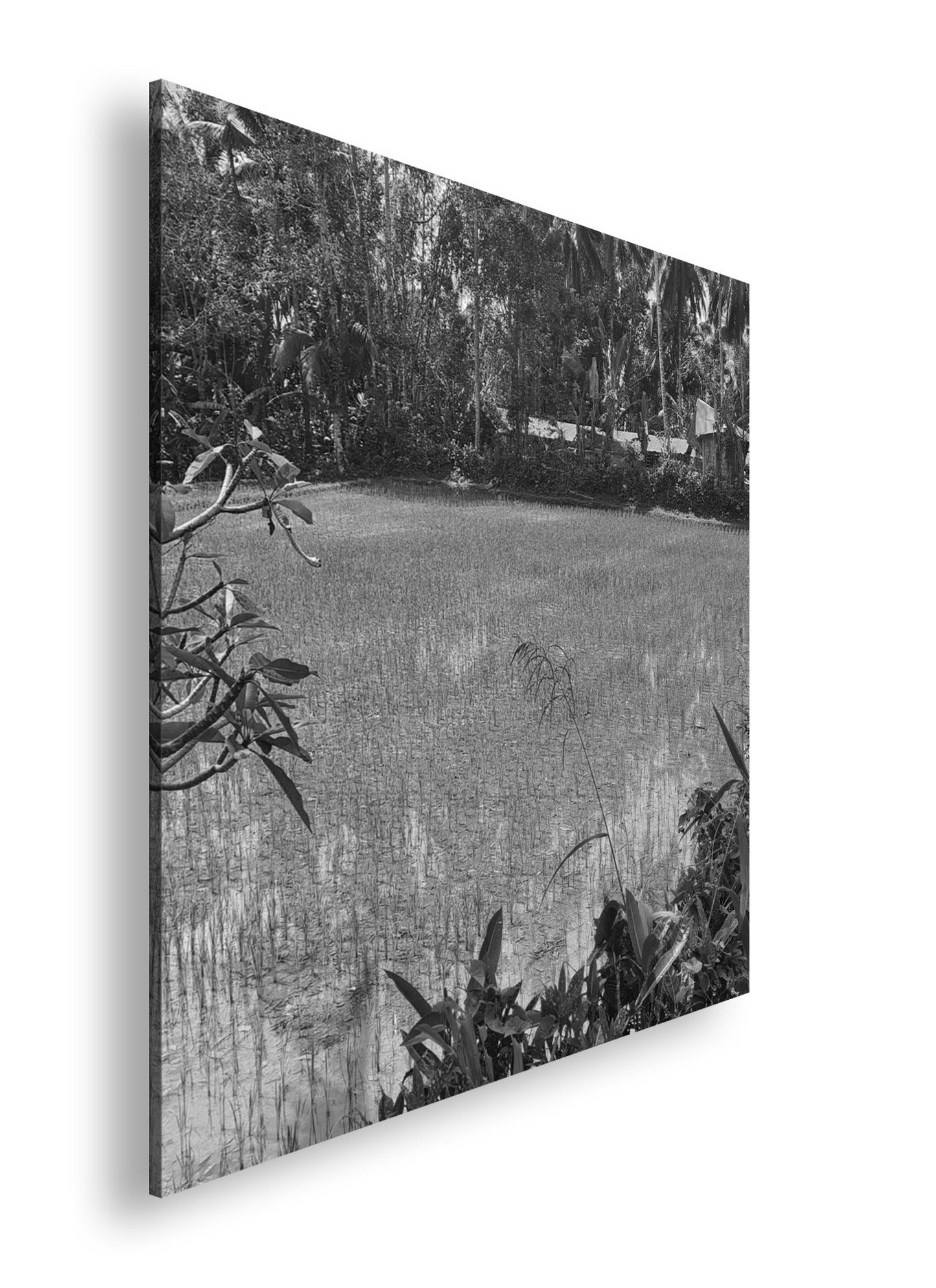 Hauptbild Schwarz & Weiß Quadratisch