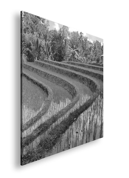 Hauptbild Schwarz & Weiß Quadratisch