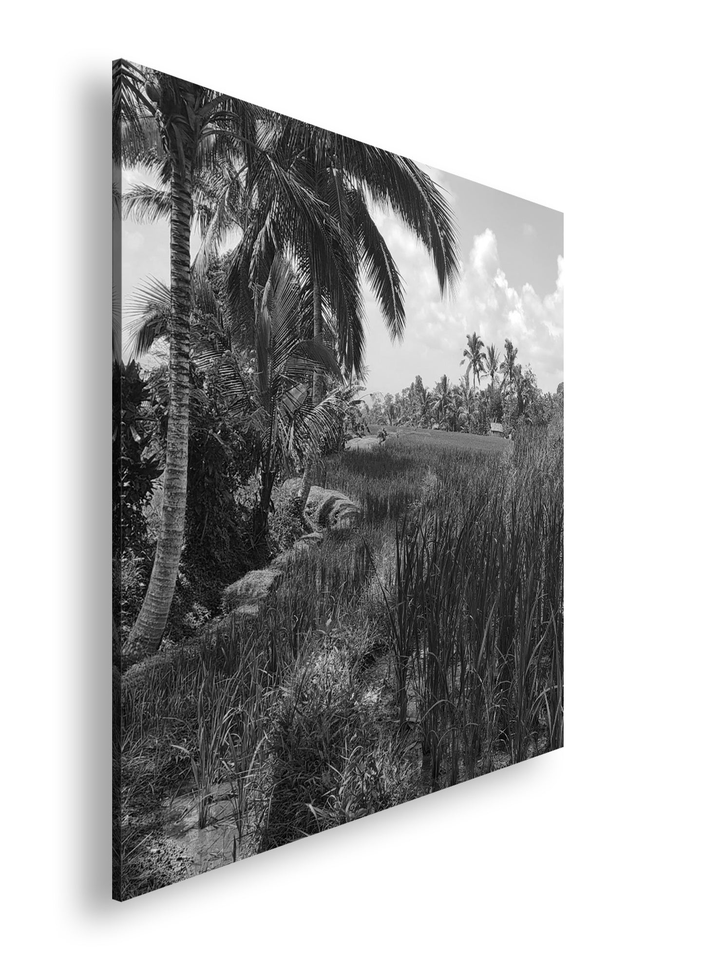 Hauptbild Schwarz & Weiß Quadratisch