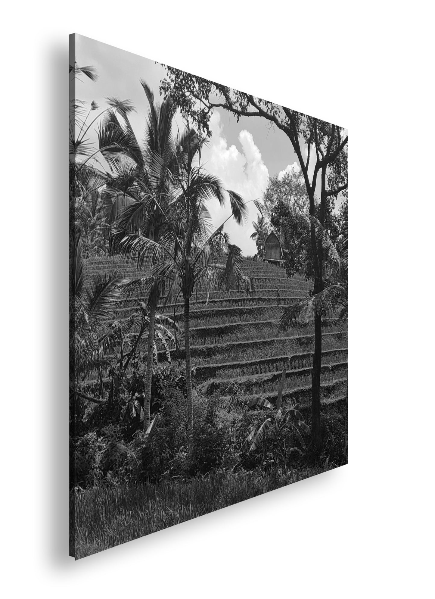 Hauptbild Schwarz & Weiß Quadratisch