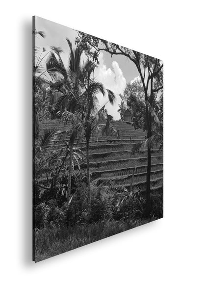 Hauptbild Schwarz & Weiß Quadratisch