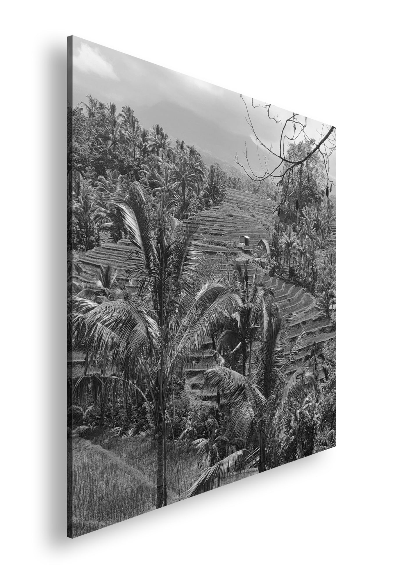 Hauptbild Schwarz & Weiß Quadratisch