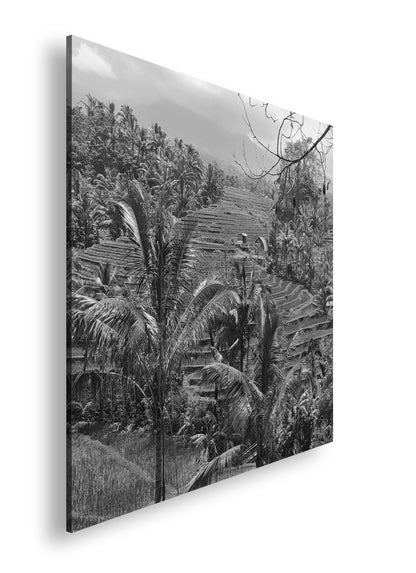 Hauptbild Schwarz & Weiß Quadratisch