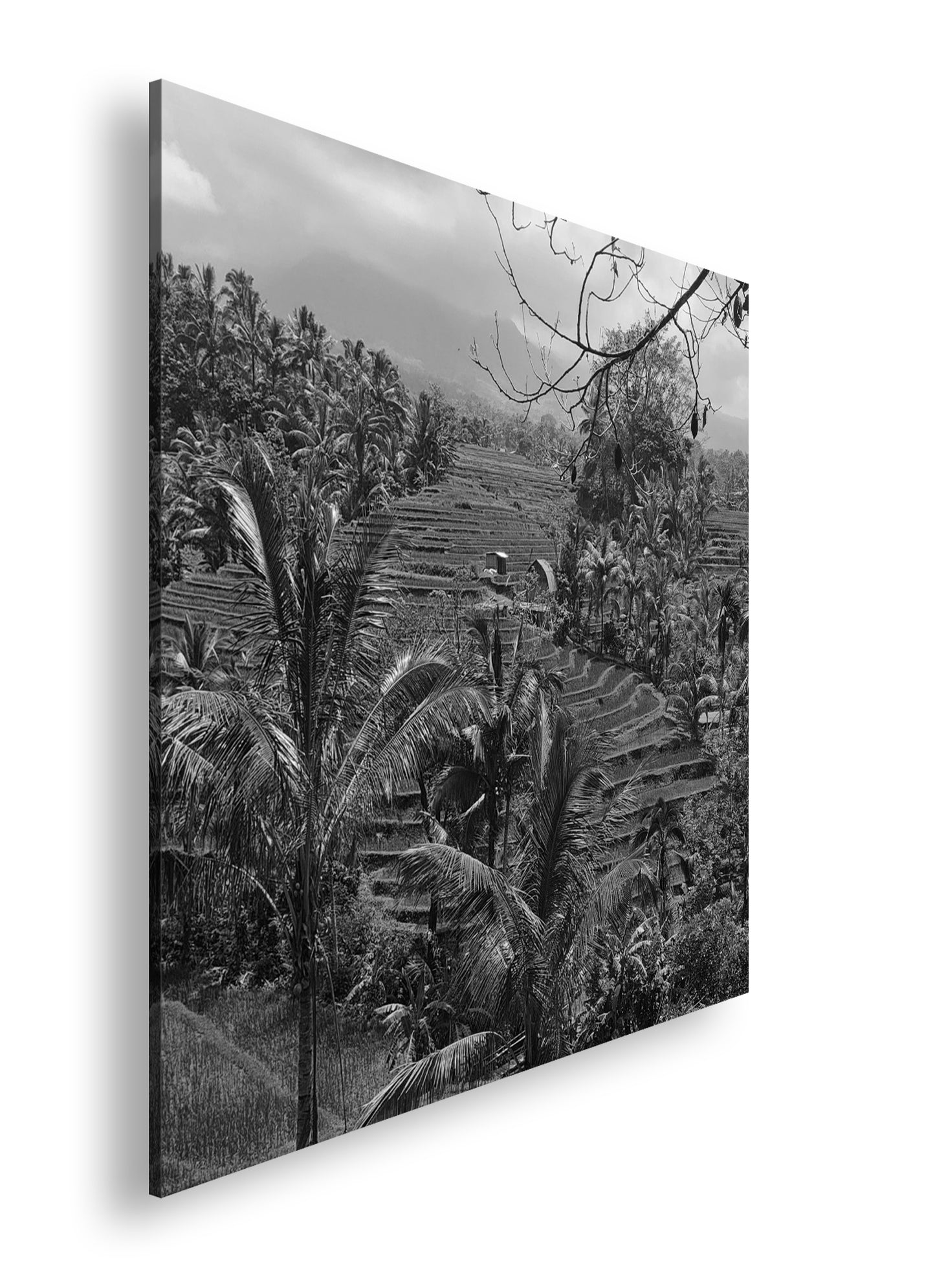 Hauptbild Schwarz & Weiß Quadratisch