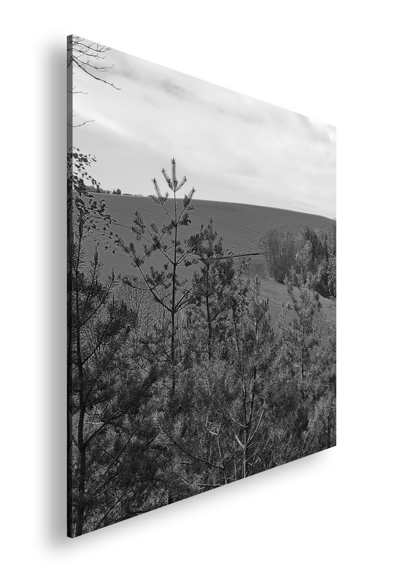 Hauptbild Schwarz & Weiß Quadratisch