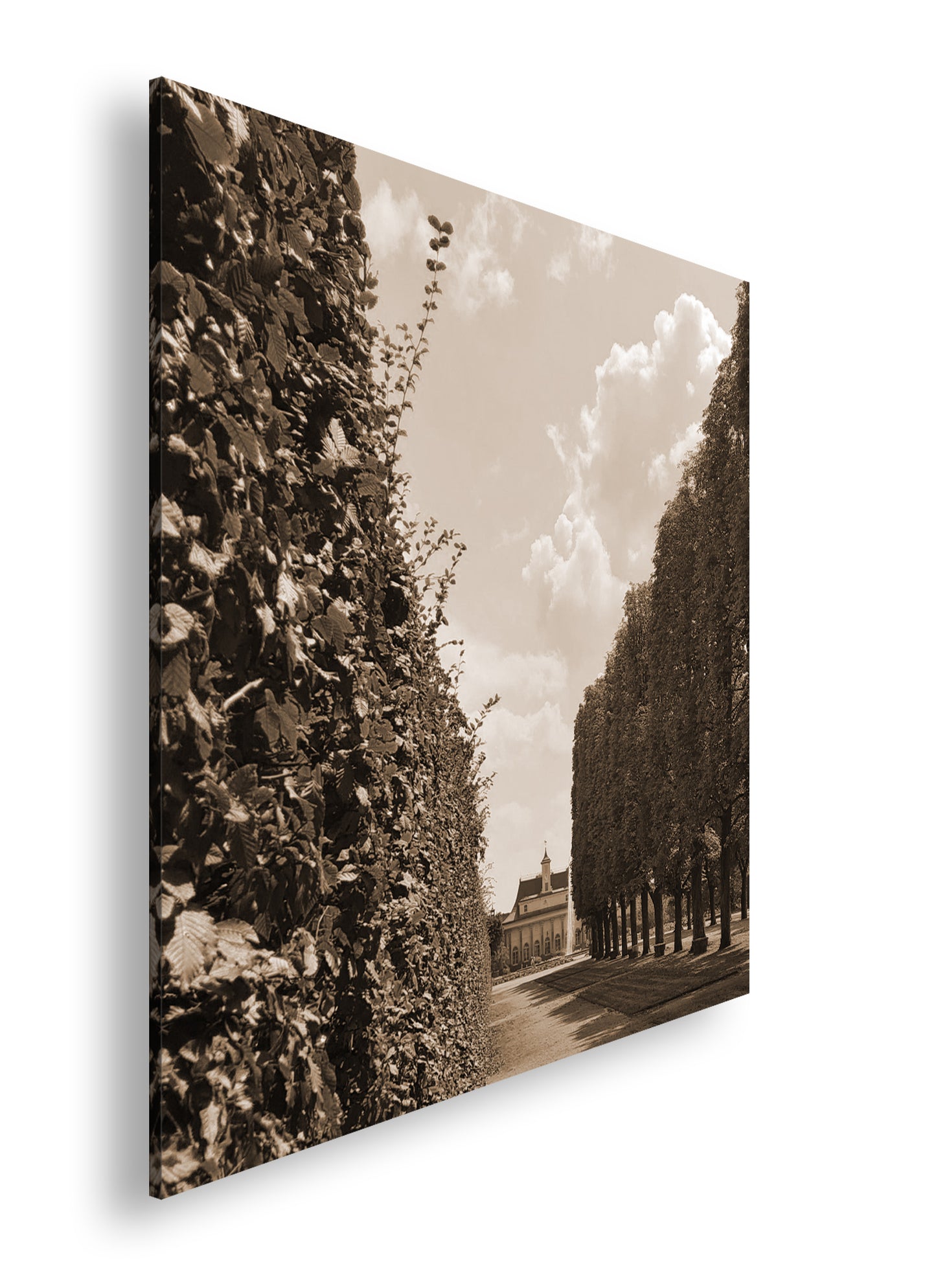 Hauptbild Sepia Quadratisch