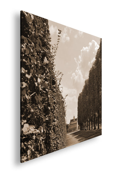 Hauptbild Sepia Quadratisch