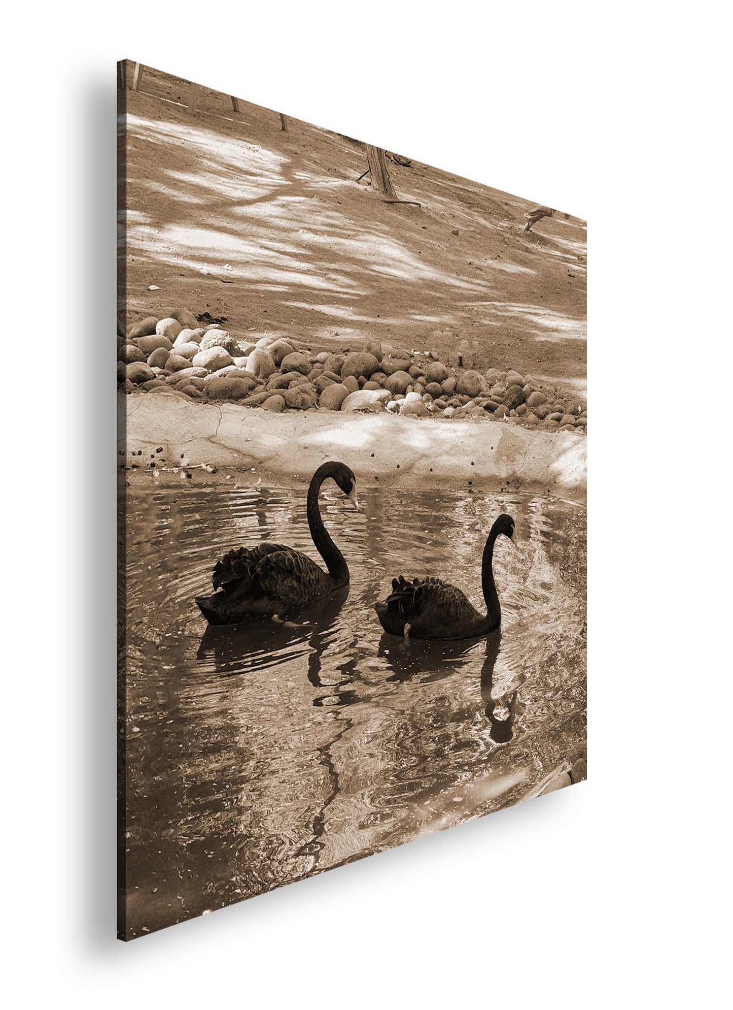 Hauptbild Sepia Quadratisch