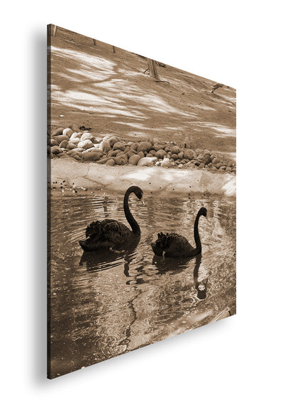 Hauptbild Sepia Quadratisch