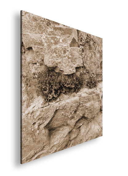 Hauptbild Sepia Quadratisch