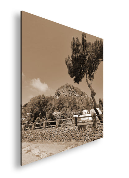 Hauptbild Sepia Quadratisch