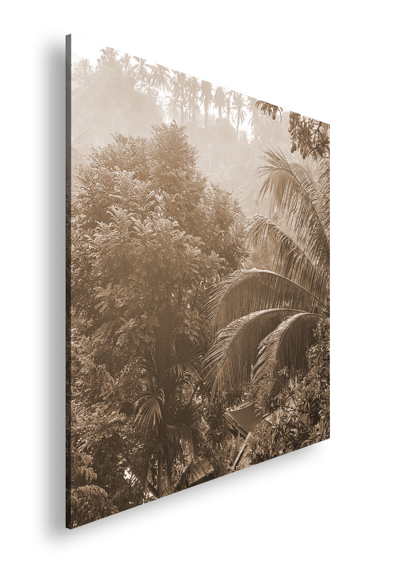 Hauptbild Sepia Quadratisch