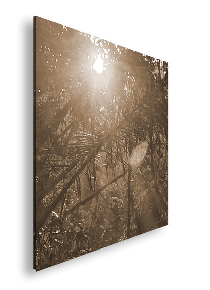 Hauptbild Sepia Quadratisch