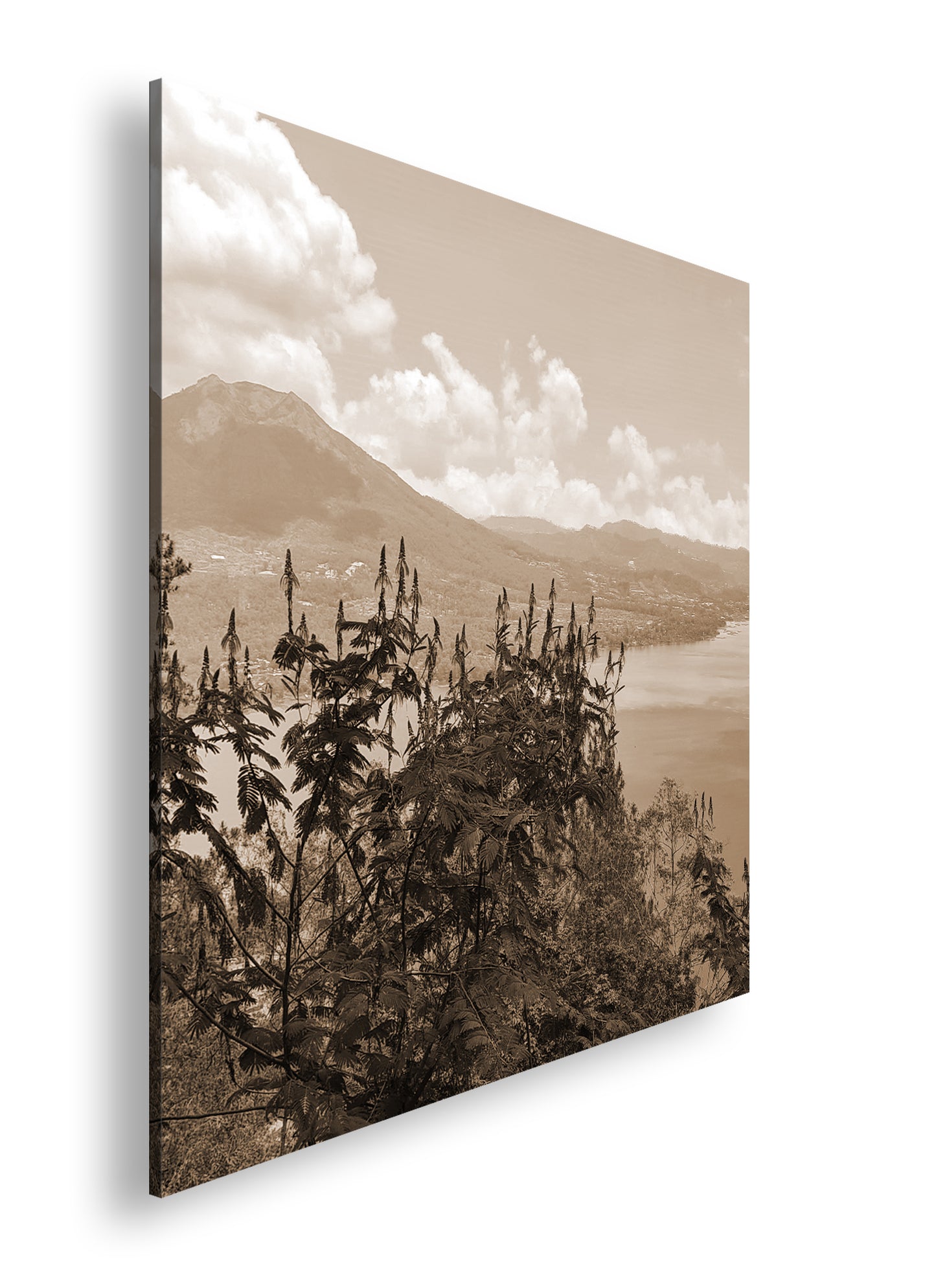 Hauptbild Sepia Quadratisch