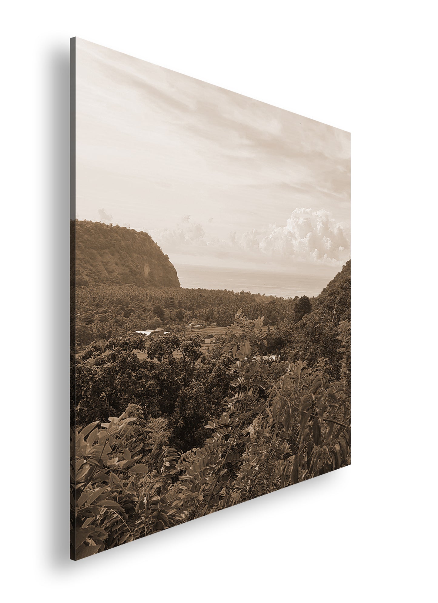 Hauptbild Sepia Quadratisch