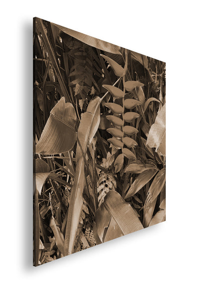 Hauptbild Sepia Quadratisch