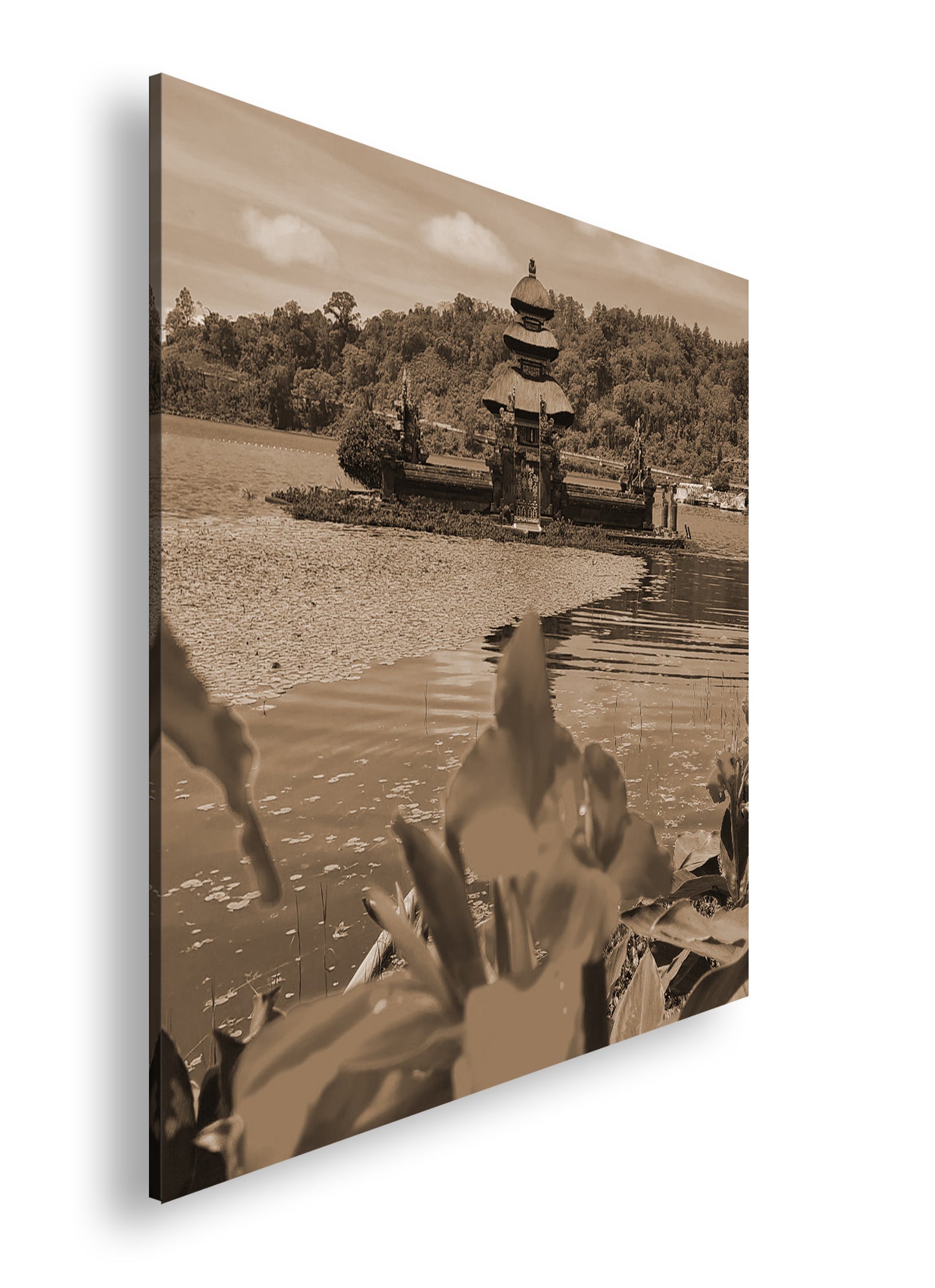 Hauptbild Sepia Quadratisch