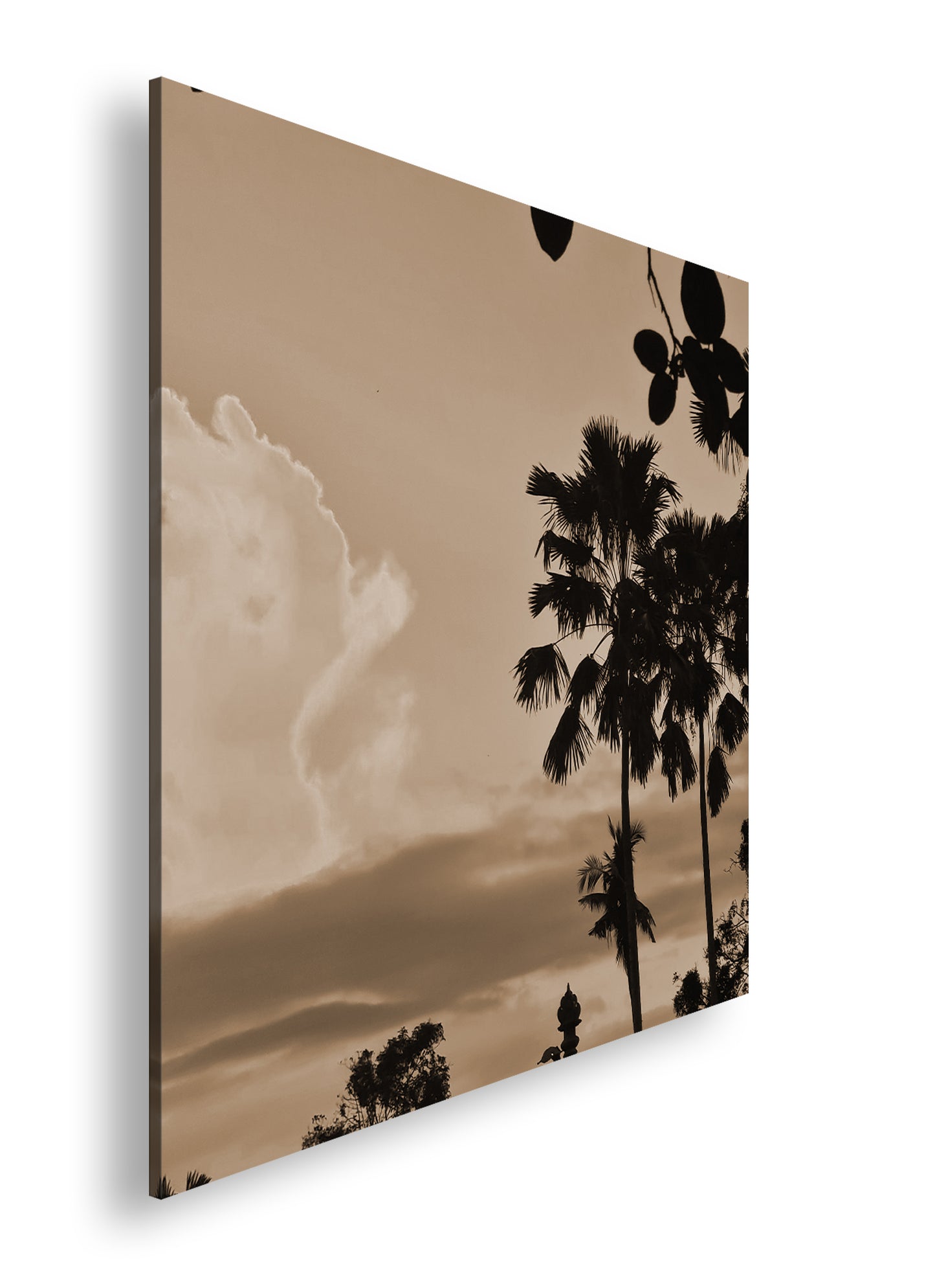 Hauptbild Sepia Quadratisch