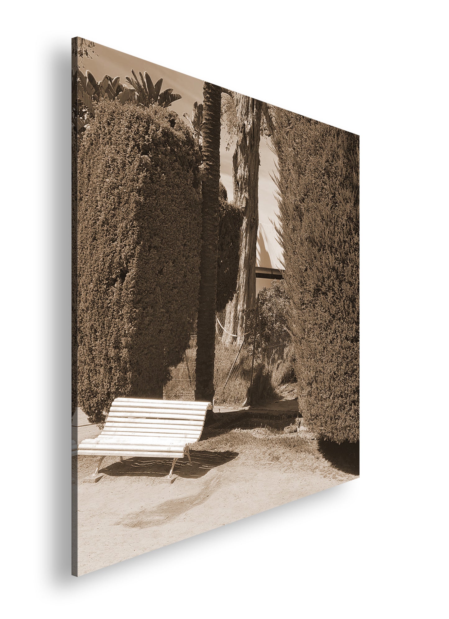 Hauptbild Sepia Quadratisch