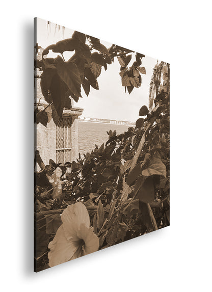 Hauptbild Sepia Quadratisch