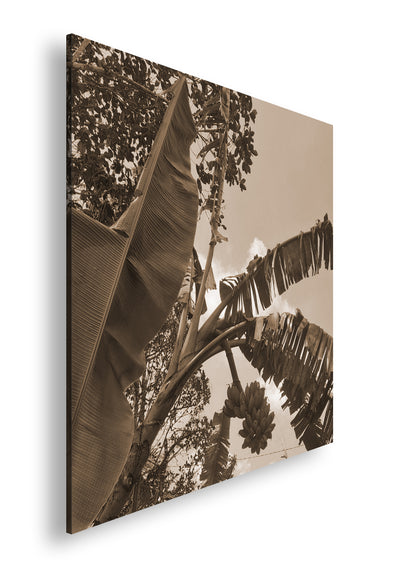 Hauptbild Sepia Quadratisch