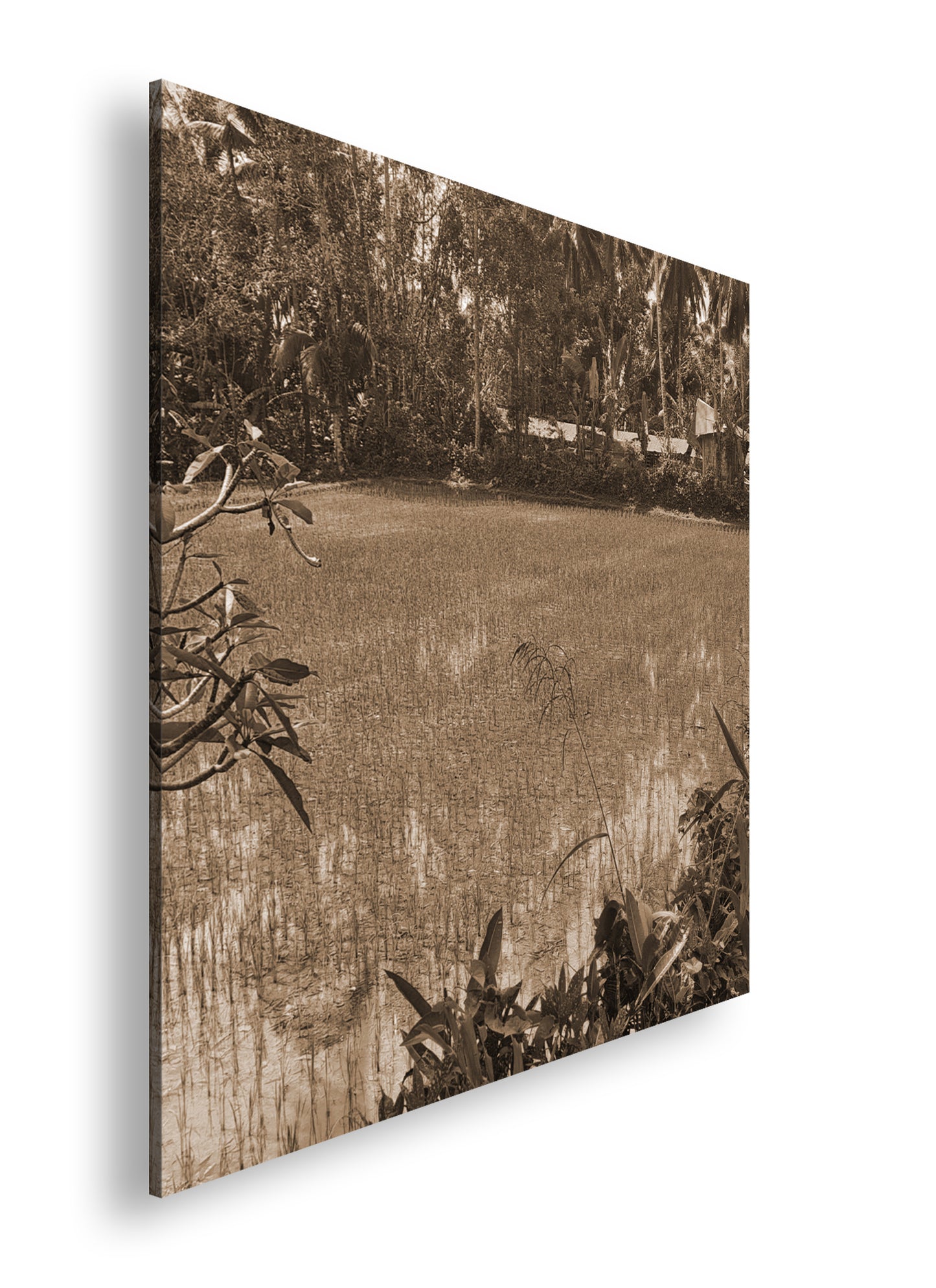 Hauptbild Sepia Quadratisch