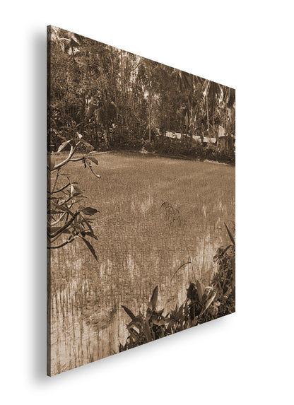 Hauptbild Sepia Quadratisch