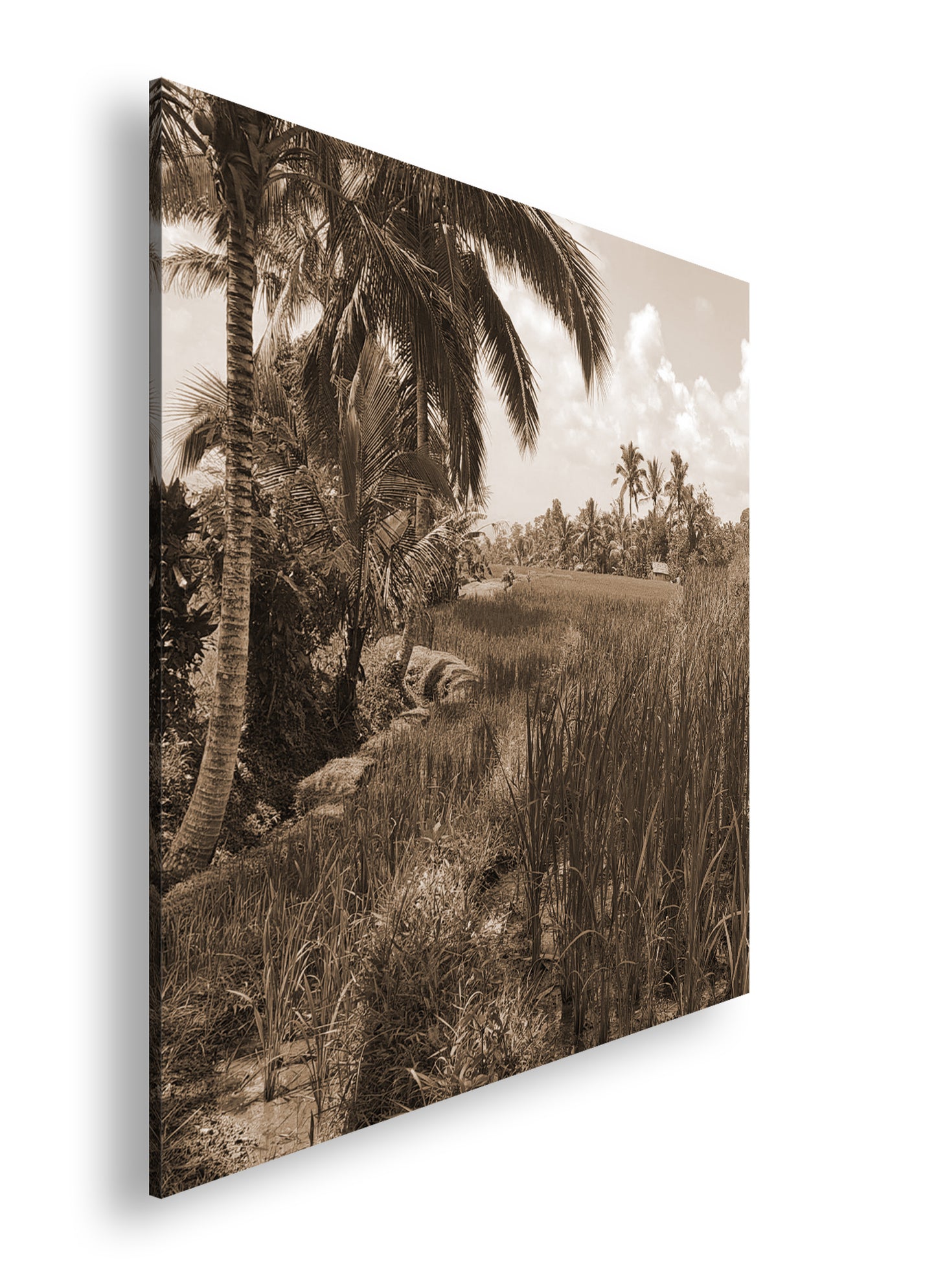 Hauptbild Sepia Quadratisch