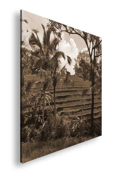 Hauptbild Sepia Quadratisch