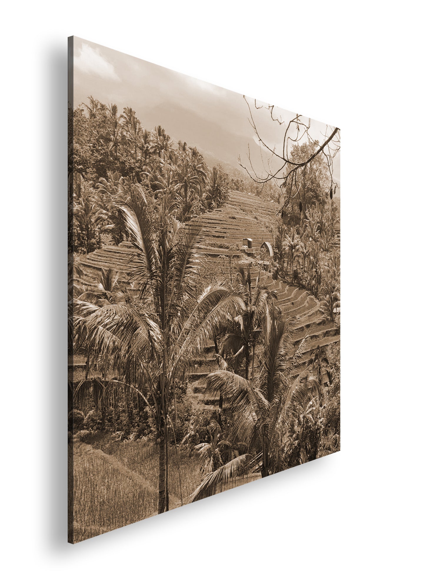 Hauptbild Sepia Quadratisch