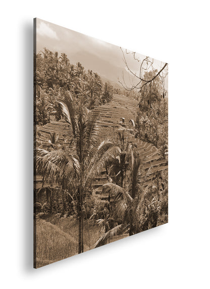 Hauptbild Sepia Quadratisch