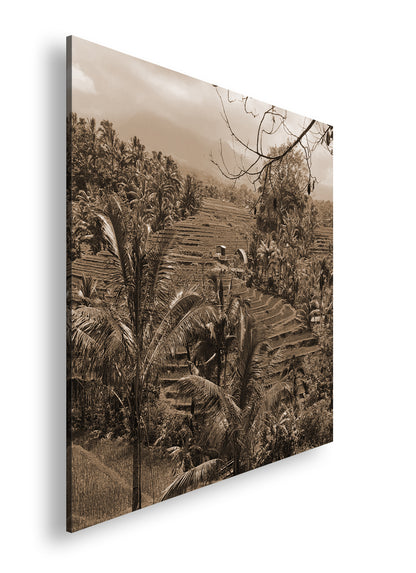 Hauptbild Sepia Quadratisch